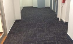 451 Madison Ave Hallways